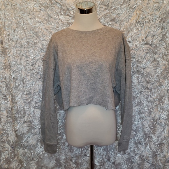 Zara Tops - NWT Zara Basics Cropped Sweatshirt size Medium